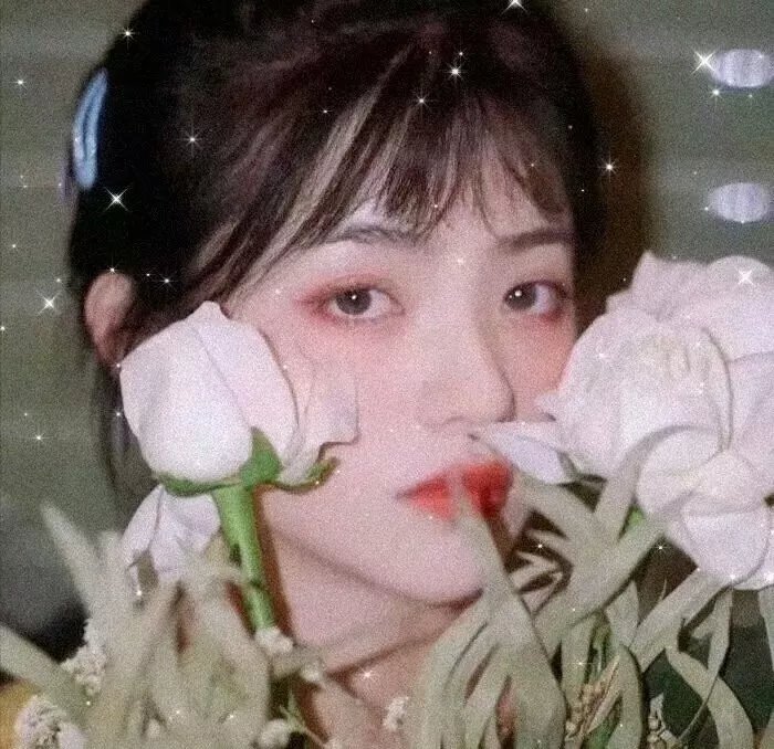 诺瓦利斯的蓝玫瑰